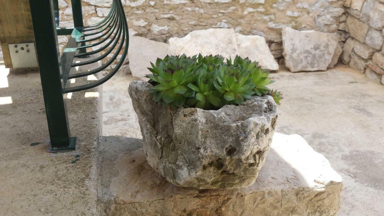 Villa Cetina Milasi Екстериор снимка