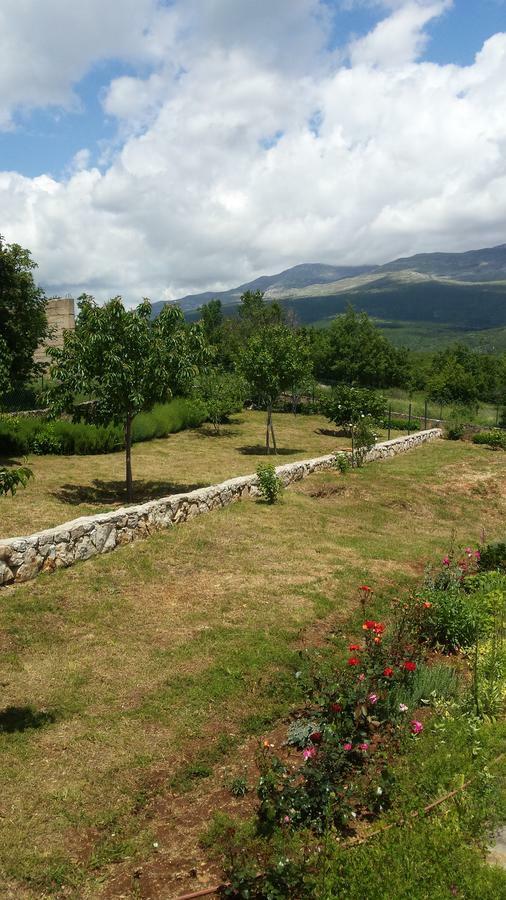 Villa Cetina Milasi Екстериор снимка